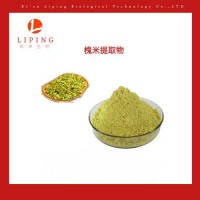 槲皮素95%HPLC槐米提取物